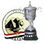 كأس مصر 